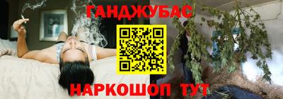 сатива Моздок