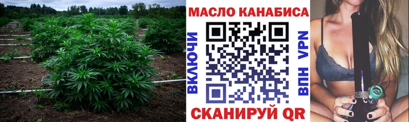 Дистиллят ТГК гашишное масло  где найти наркотики  Саянск 