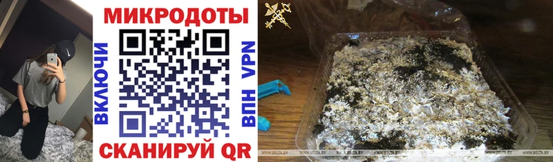 где найти наркотики Саянск Галлюциногенные грибы Cubensis